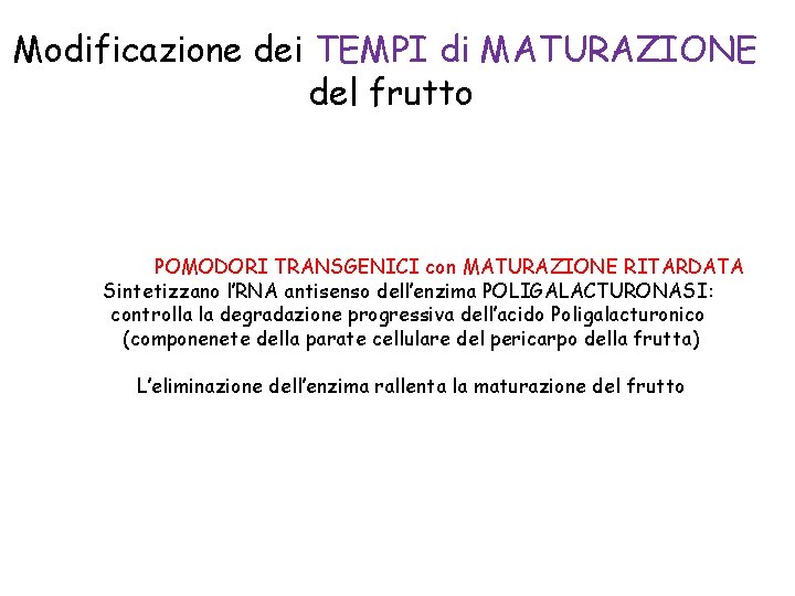 Modificazione dei TEMPI di MATURAZIONE del frutto POMODORI TRANSGENICI con MATURAZIONE RITARDATA Sintetizzano l’RNA