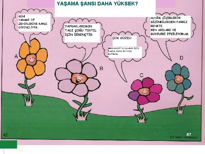 YAŞAMA ŞANSI DAHA YÜKSEK? 57 YAŞAMA ŞANSI DAHA YÜKSEK? 57