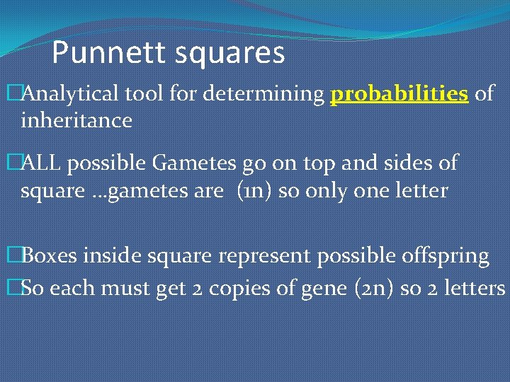 Punnett squares �Analytical tool for determining probabilities of inheritance �ALL possible Gametes go on