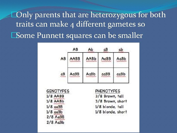 �Only parents that are heterozygous for both traits can make 4 different gametes so
