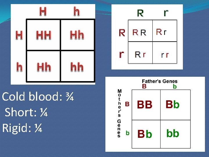 Cold blood: ¾ Short: ¼ Rigid: ¼ 