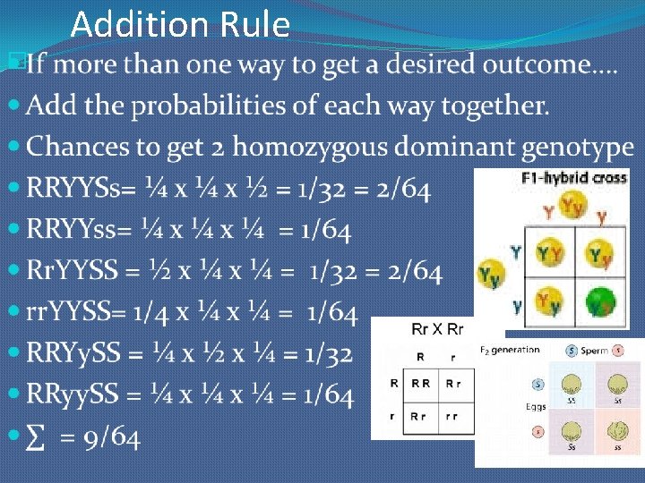 � Addition Rule 