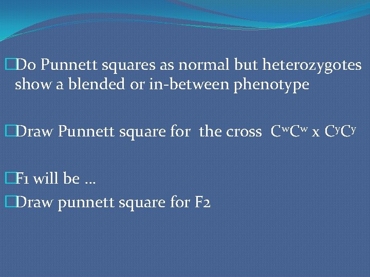 �Do Punnett squares as normal but heterozygotes show a blended or in-between phenotype �Draw