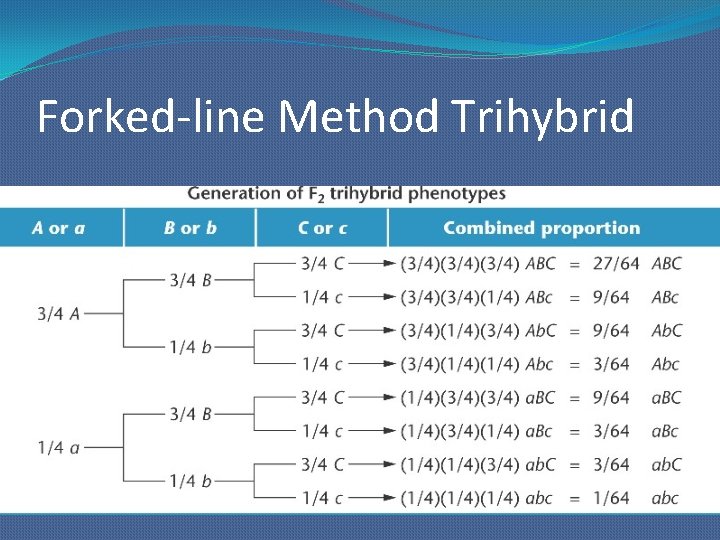 Forked-line Method Trihybrid 