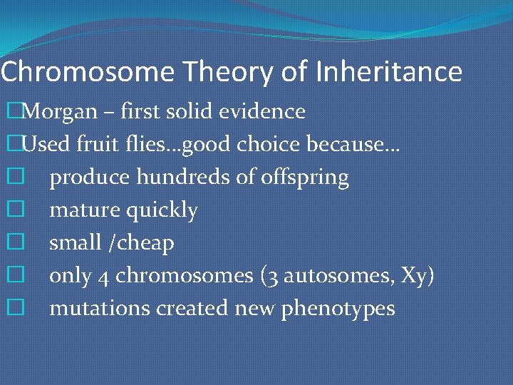 Chromosome Theory of Inheritance �Morgan – first solid evidence �Used fruit flies…good choice because…