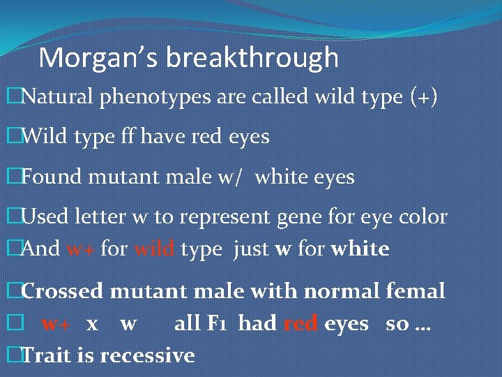 Morgan’s breakthrough �Natural phenotypes are called wild type (+) �Wild type ff have red