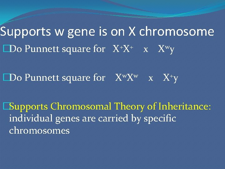 Supports w gene is on X chromosome �Do Punnett square for X+X+ x Xwy