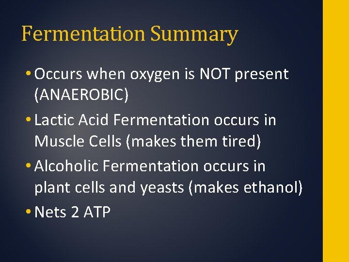 Fermentation Summary • Occurs when oxygen is NOT present (ANAEROBIC) • Lactic Acid Fermentation