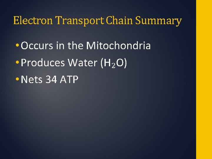 Electron Transport Chain Summary • Occurs in the Mitochondria • Produces Water (H₂O) •