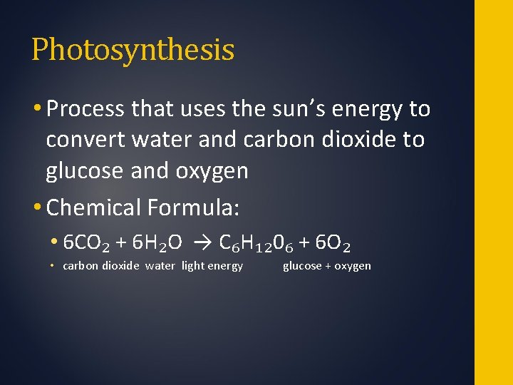 Photosynthesis • Process that uses the sun’s energy to convert water and carbon dioxide