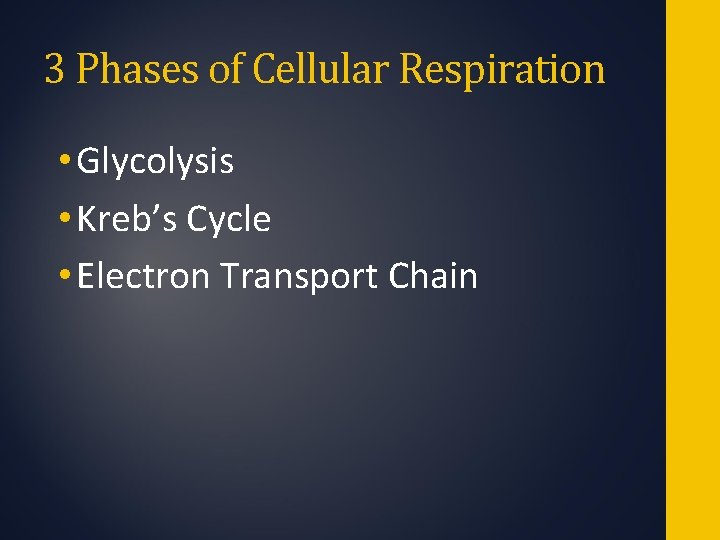 3 Phases of Cellular Respiration • Glycolysis • Kreb’s Cycle • Electron Transport Chain