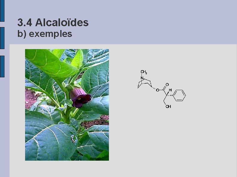 3. 4 Alcaloïdes b) exemples 