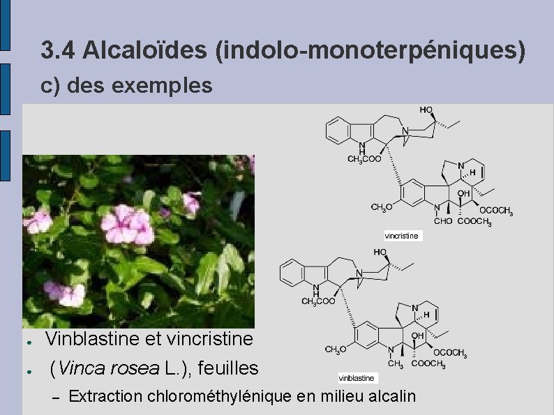 3. 4 Alcaloïdes (indolo-monoterpéniques) c) des exemples ● ● Vinblastine et vincristine (Vinca rosea