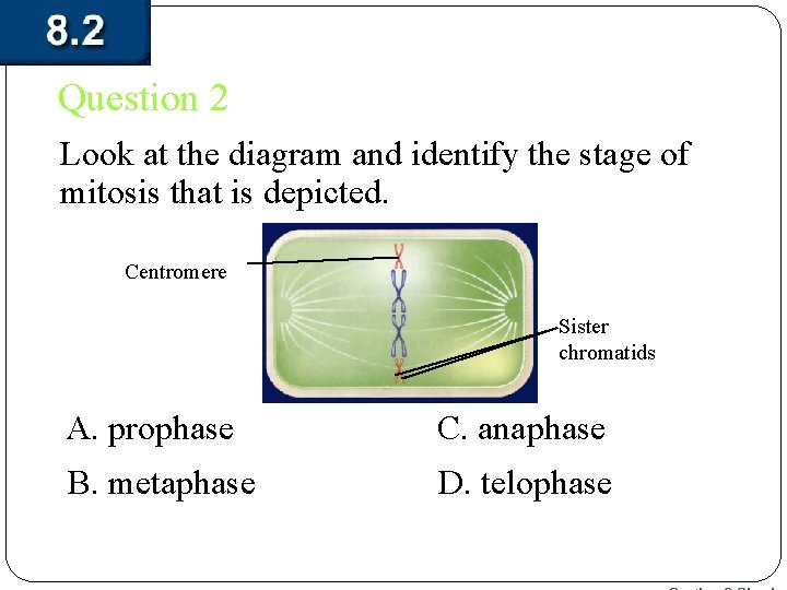 Question 2 Look at the diagram and identify the stage of mitosis that is