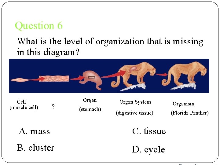 Question 6 What is the level of organization that is missing in this diagram?