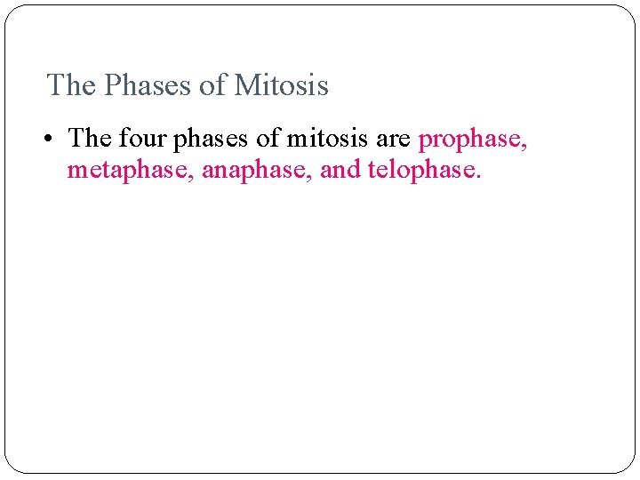 The Phases of Mitosis • The four phases of mitosis are prophase, metaphase, and