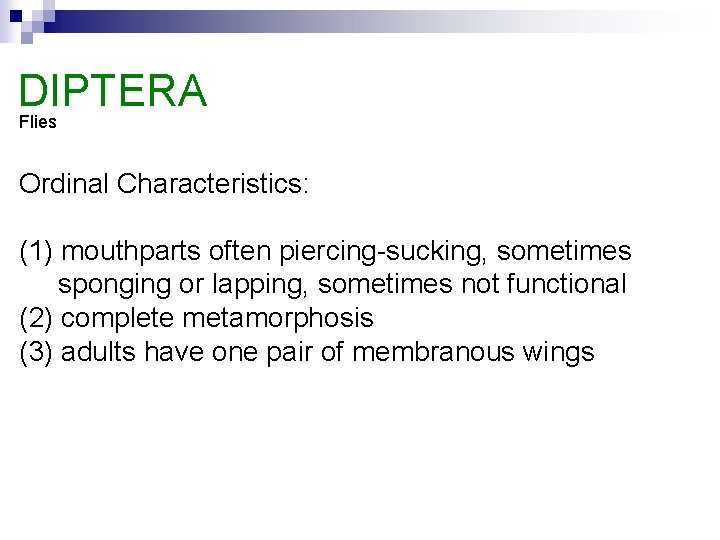 DIPTERA Flies Ordinal Characteristics: (1) mouthparts often piercing-sucking, sometimes sponging or lapping, sometimes not