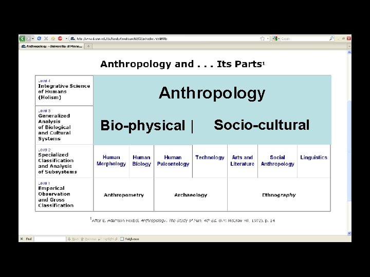 Anthropology Bio-physical | Socio-cultural 