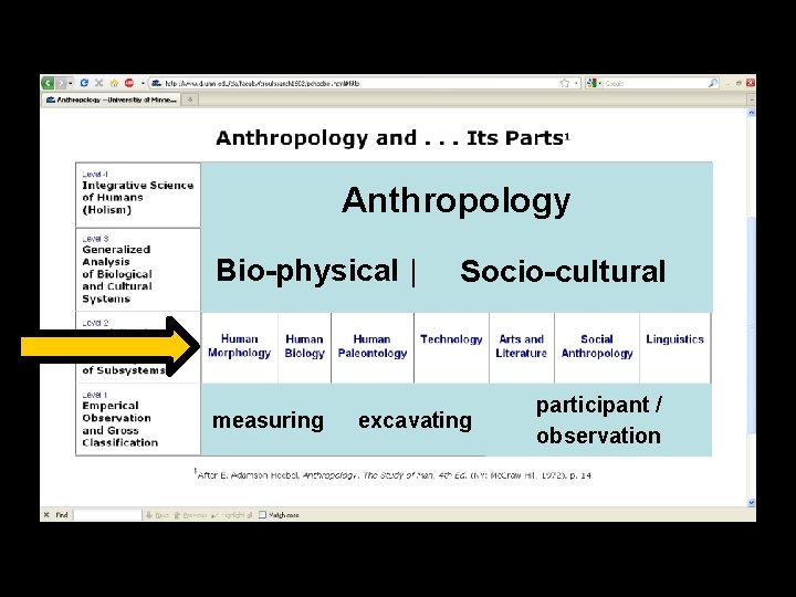 Anthropology Bio-physical | Food Socio-cultural and Culture measuring excavating participant / observation 
