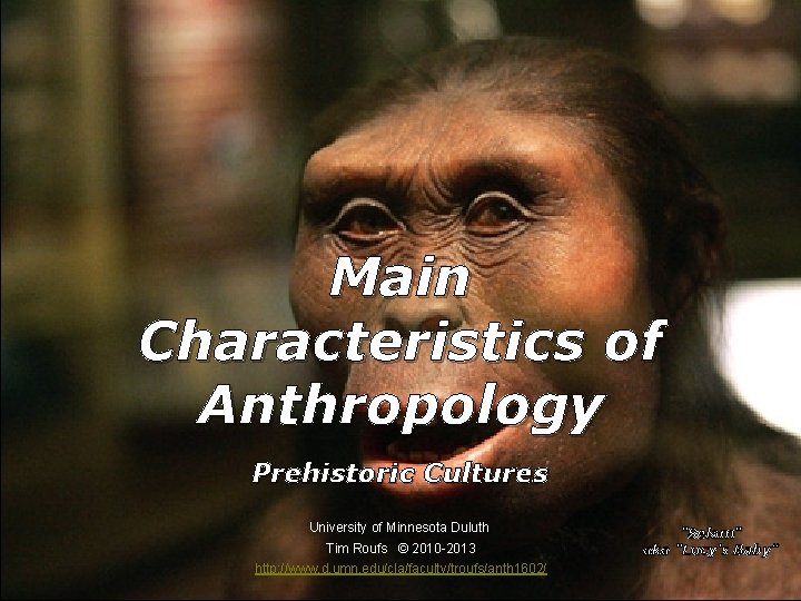 Main Characteristics of Anthropology Prehistoric Cultures University of Minnesota Duluth Tim Roufs © 2010