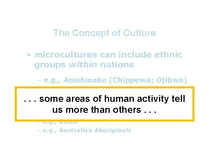 The Concept of Culture • microcultures can include ethnic groups within nations – e.