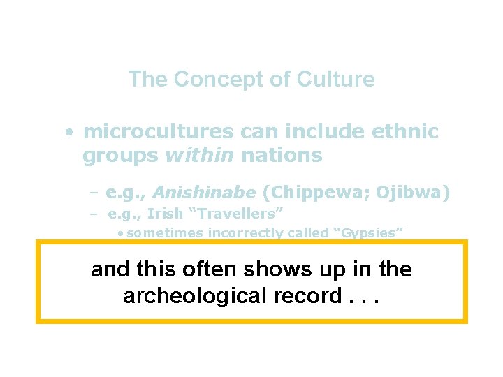 The Concept of Culture • microcultures can include ethnic groups within nations – e.