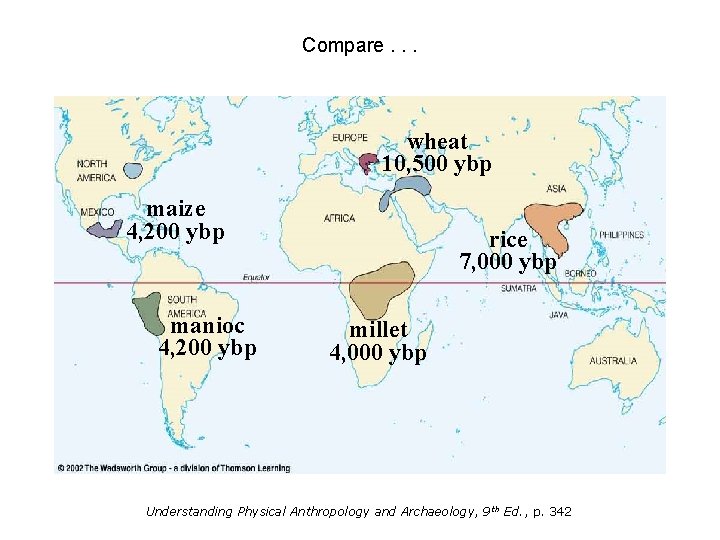 Origin of Domestication for Selected Plants Compare. . . wheat 10, 500 ybp maize