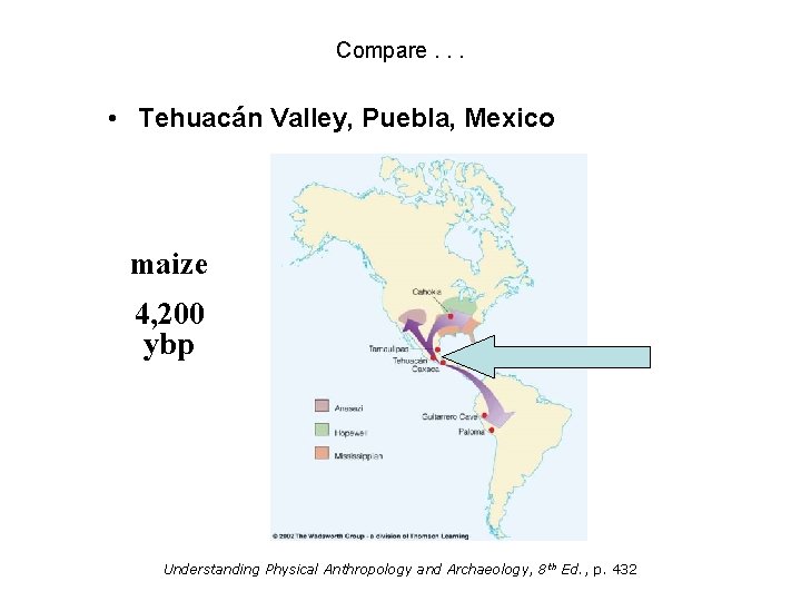 Compare. . . • Tehuacán Valley, Puebla, Mexico maize 4, 200 ybp Understanding Physical