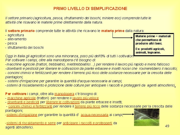 PRIMO LIVELLO DI SEMPLIFICAZIONE Il settore primario (agricoltura, pesca, sfruttamento dei boschi, miniere ecc)
