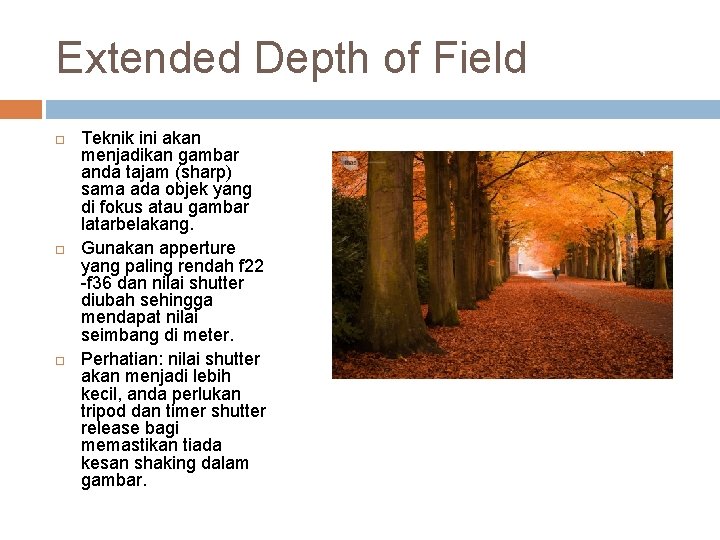 Extended Depth of Field Teknik ini akan menjadikan gambar anda tajam (sharp) sama ada