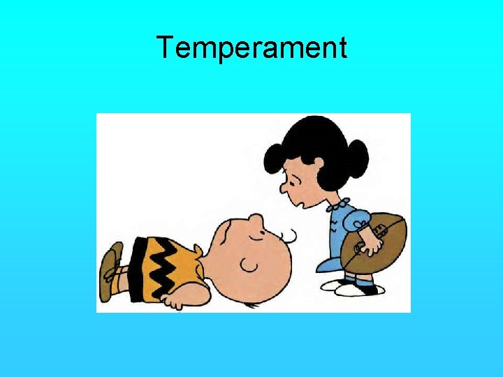 Temperament 