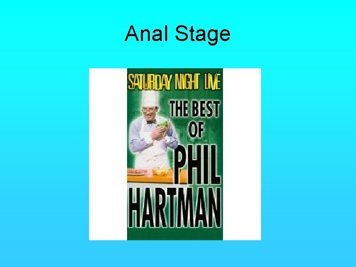 Anal Stage 