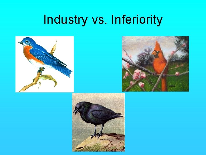 Industry vs. Inferiority 