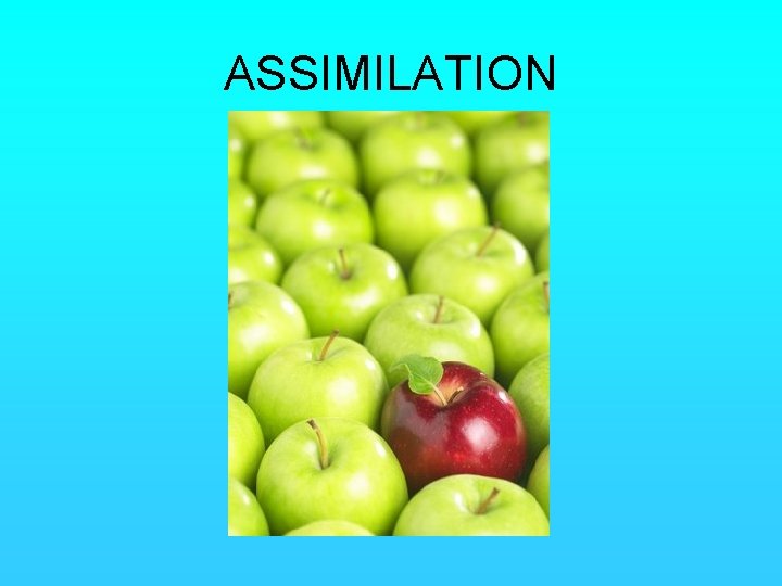 ASSIMILATION 