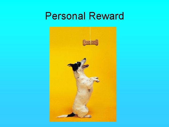 Personal Reward 