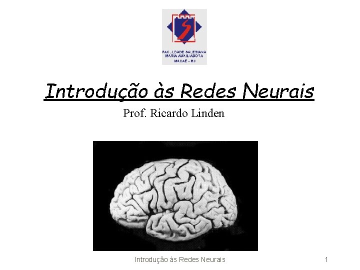 Introdução às Redes Neurais Prof. Ricardo Linden Introdução às Redes Neurais 1 Introdução às Redes Neurais Prof. Ricardo Linden Introdução às Redes Neurais 1
