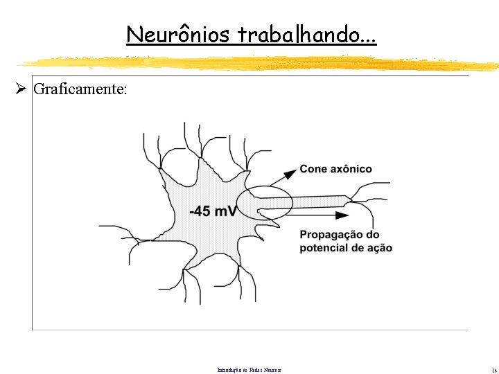 Neurônios trabalhando. . . Ø Graficamente: Introdução às Redes Neurais 14 Neurônios trabalhando. . . Ø Graficamente: Introdução às Redes Neurais 14