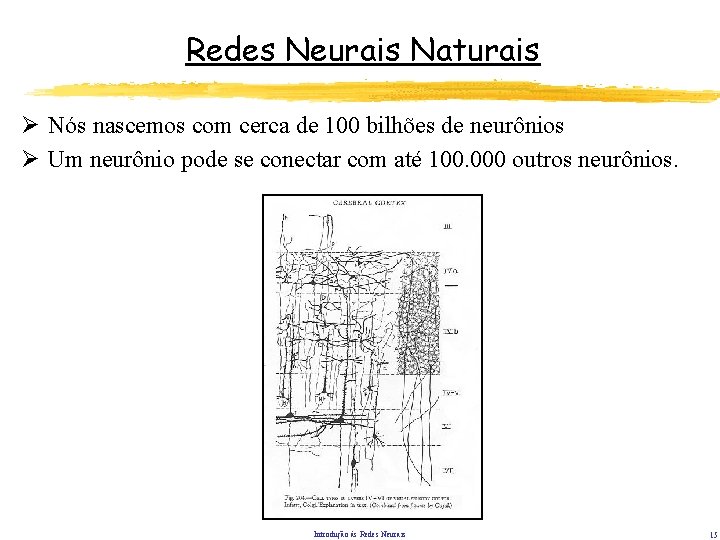Redes Neurais Naturais Ø Nós nascemos com cerca de 100 bilhões de neurônios Ø Redes Neurais Naturais Ø Nós nascemos com cerca de 100 bilhões de neurônios Ø