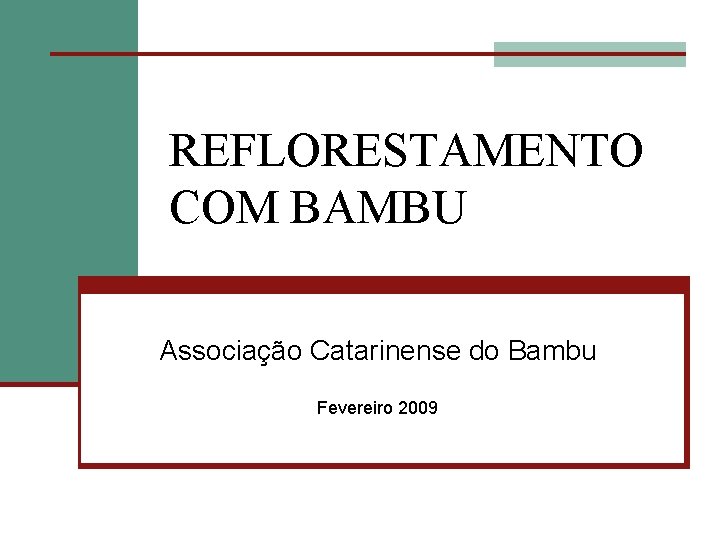 REFLORESTAMENTO COM BAMBU Associação Catarinense do Bambu Fevereiro 2009 