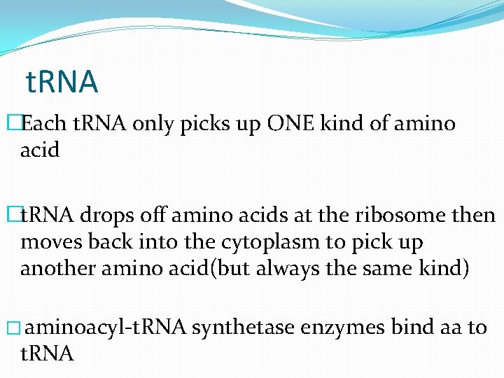 t. RNA �Each t. RNA only picks up ONE kind of amino acid �t.