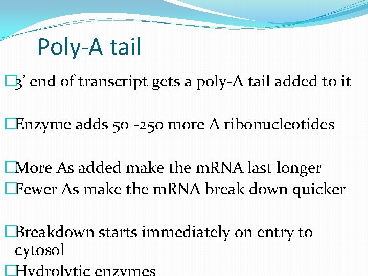 Poly-A tail � 3’ end of transcript gets a poly-A tail added to it