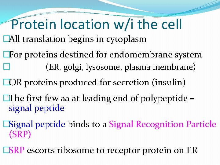 Protein location w/i the cell �All translation begins in cytoplasm �For proteins destined for