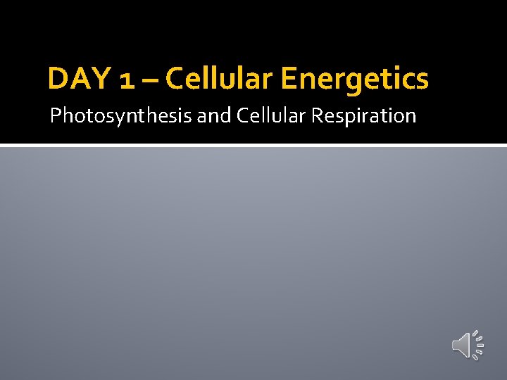 DAY 1 – Cellular Energetics Photosynthesis and Cellular Respiration 