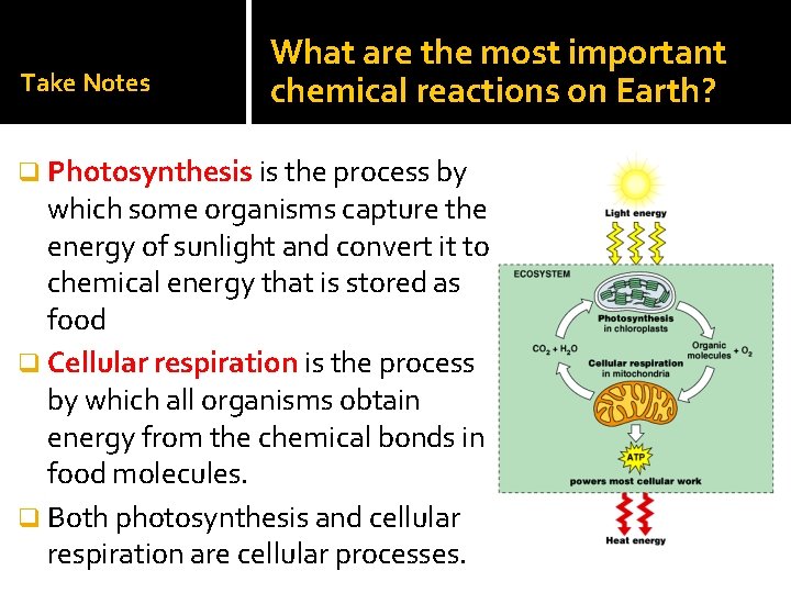 Take Notes What are the most important chemical reactions on Earth? q Photosynthesis is