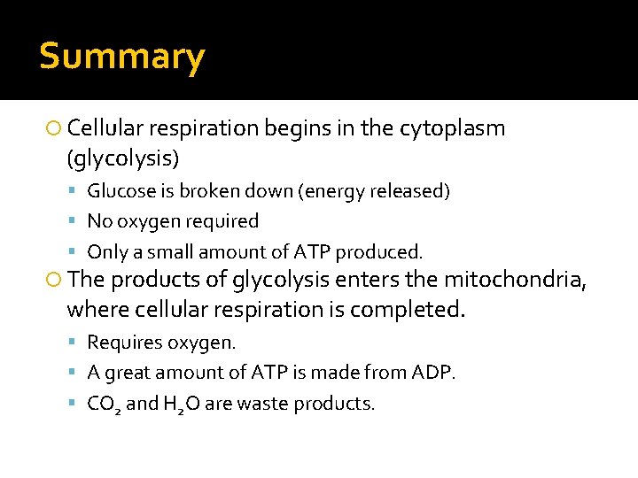 Summary Cellular respiration begins in the cytoplasm (glycolysis) Glucose is broken down (energy released)