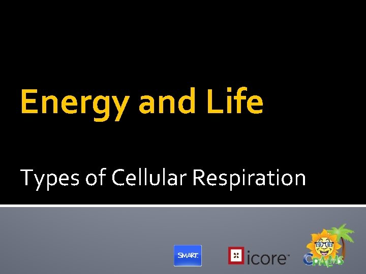 Energy and Life Types of Cellular Respiration 