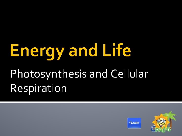 Energy and Life Photosynthesis and Cellular Respiration 