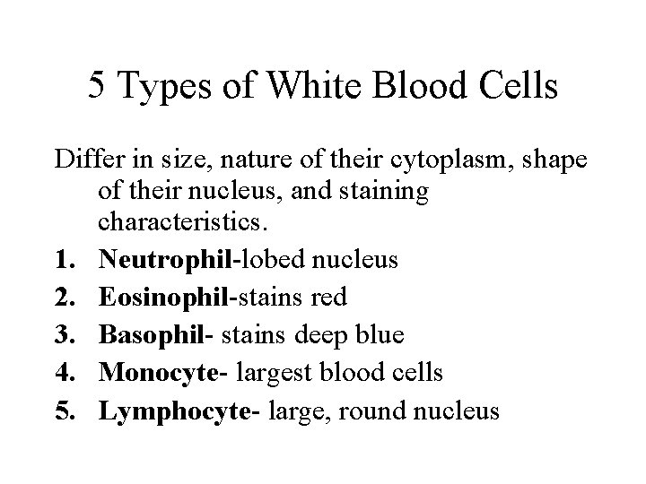 5 Types of White Blood Cells Differ in size, nature of their cytoplasm, shape