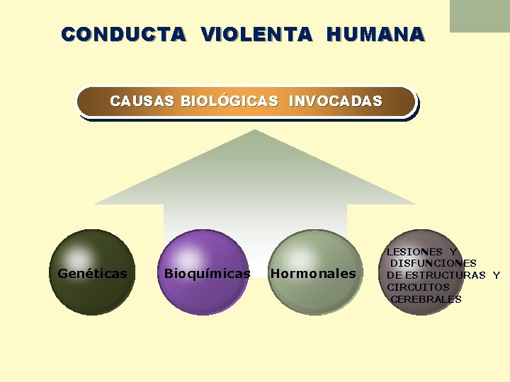 CONDUCTA VIOLENTA HUMANA CAUSAS BIOLÓGICAS INVOCADAS Genéticas Bioquímicas Hormonales LESIONES Y DISFUNCIONES DE ESTRUCTURAS
