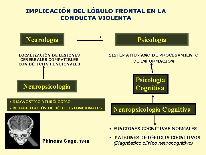 IMPLICACIÓN DEL LÓBULO FRONTAL EN LA CONDUCTA VIOLENTA Neurología LOCALIZACIÓN DE LESIONES CEREBRALES COMPATIBLES